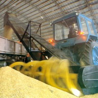 Guvernul Moldovei va impune interdicţii la exportul cerealelor şi va stabili facilităţi la importul acestora