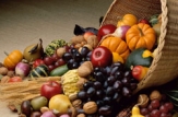 Rusia a acceptat o listă cu 140 de exportatori moldoveni de fructe şi legume