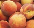 „Rosselhoznadzor” a dat undă verde importului integral al fructelor şi legumelor din Moldova