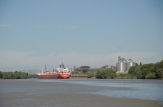 Tranzacţiile cu produse petroliere şi cerealiere în Portul Internaţional Liber „Giurgiuleşti” au crescut