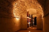 Vinăria Purcari va primi Marele Premiu în domeniul vitivinicol