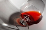 Peste 500 de vinuri de casă au concurat pentru ”Polobocul de aur 2013”