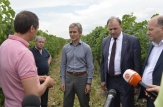 Iurie Leancă după ce a vizitat o fabrică de vin din Ștefan Vodă: „Suntem pregătiți pentru piața europeană”