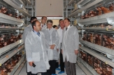 Comisarului European pentru Sănătate şi Ministrul Agriculturii au vizitat două întreprinderi: de producere a ouălor şi de mezeluri