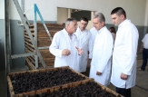 Iurie Leancă a vizitat două întreprinderi exportatoare de fructe din raionul Ialoveni