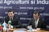 Organizația Națiunilor Unite pentru Alimentație și Agricultură va acorda Republicii Moldova suport pentru dezvoltarea agriculturii 