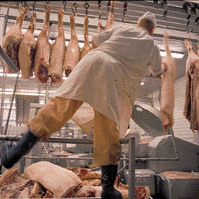 Guvernul a anulat temporar restricţile la importul de carne de vită şi de porcină