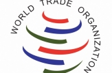 Republica Moldova va participa la reuniunea Organizației Mondiale a Comerțului de la Buenos Aires