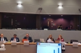 Delegația Republicii Moldova a participat la cea de-a V-a reuniune a Comitetului de Asociere, în configurația Comerț, Republica Moldova – Uniunea Europeană