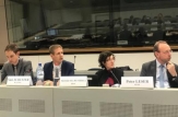 La Bruxelles, s-a desfășurat cea de-a patra ședință a Sub-Comitetului Republica Moldova – Uniunea Europeană pe sectoarele energetică, transport, mediu, schimbarea climei și protecția civilă (Cluster III)