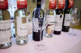 Chiril Gaburici: Rezultatele concursurilor internaționale la care participăm demonstrează de fiecare dată că producătorii noștri fac vinuri deosebite