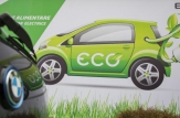 Guvernul va examina posibilitatea de a susține creșterea consumului energiei verzi