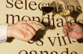 Vinurile moldovenești au fost incluse în „Top 50 cele mai apreciate vinuri” alături de cele mai recunoscute țări cu tradiții din întreaga lume