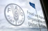 FAO lansează un proiect de consolidare a sistemelor de siguranță alimentară în cinci țări din Europa și Asia Centrală
