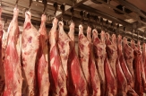 Saptamana viitoare pretul la carne va scadea in medie cu 6-7%