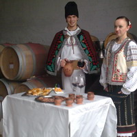 Degustaţiile în cadrul sărbătorii vinului la Chişinău vor fi cu plată