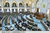 Senatul României: Declarație privind afirmațiile ambasadorului SUA la Chișinău - adoptată în plen