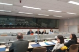 La Bruxelles se desfășoară ședința de lucru a Sub – Comitetului „Economic and Other Sector Cooperation – Cluster V”